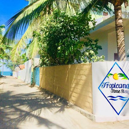 Tropicana Home Stay 아루감 베이 외부 사진