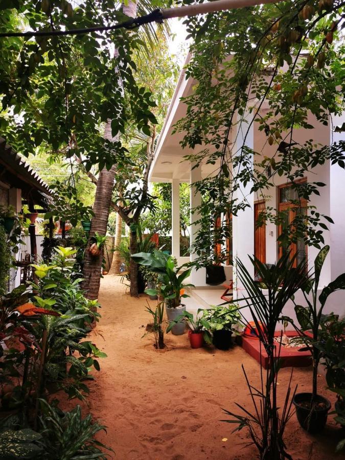 Tropicana Home Stay 아루감 베이 외부 사진