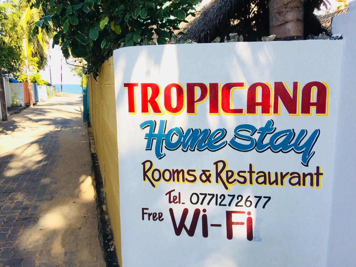 Tropicana Home Stay 아루감 베이 외부 사진