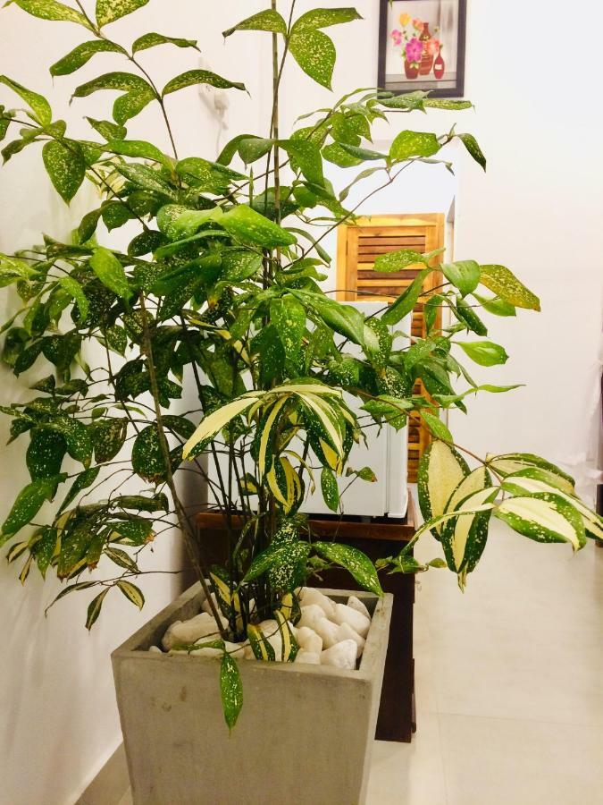 Tropicana Home Stay 아루감 베이 외부 사진