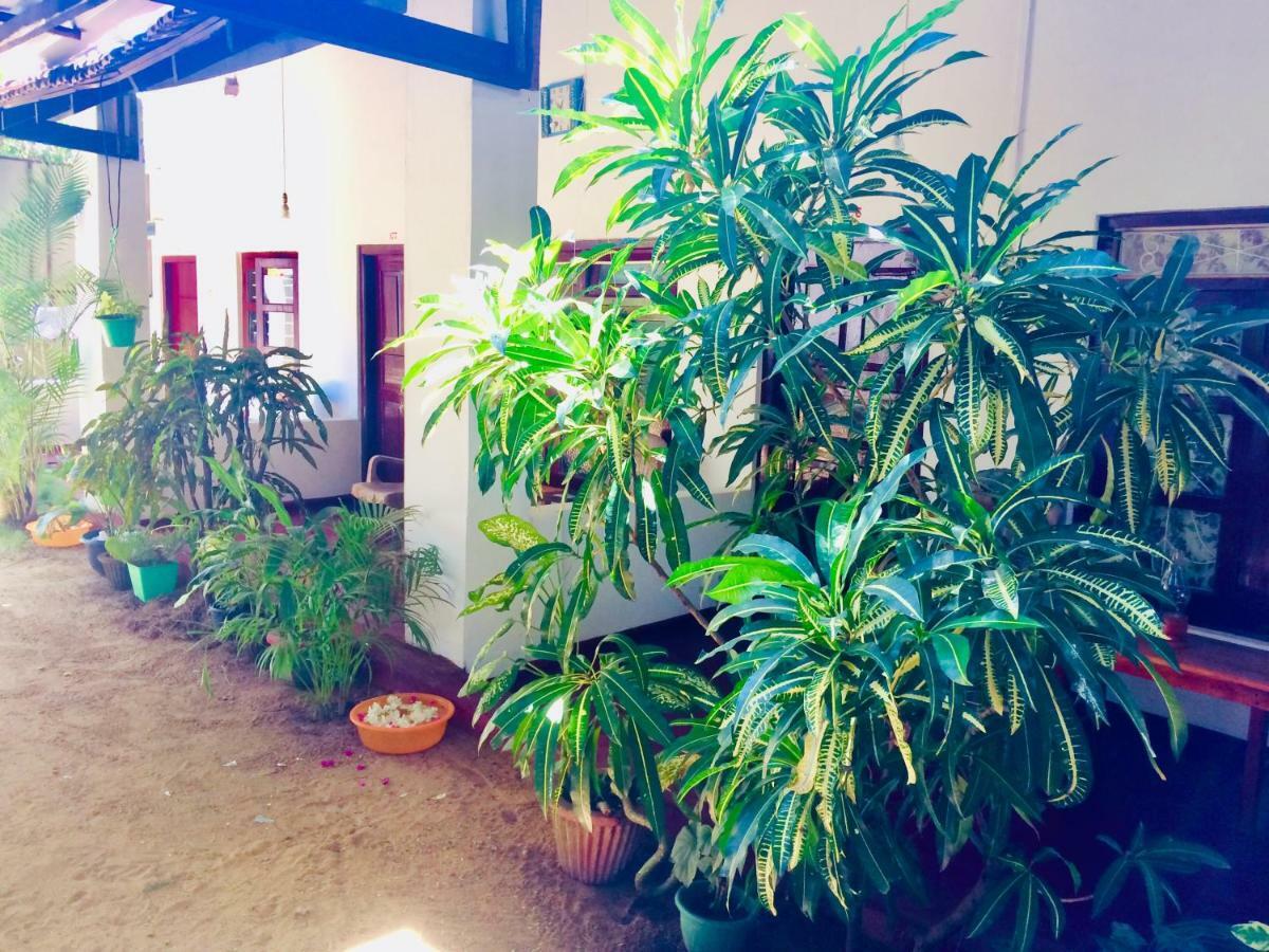 Tropicana Home Stay 아루감 베이 외부 사진