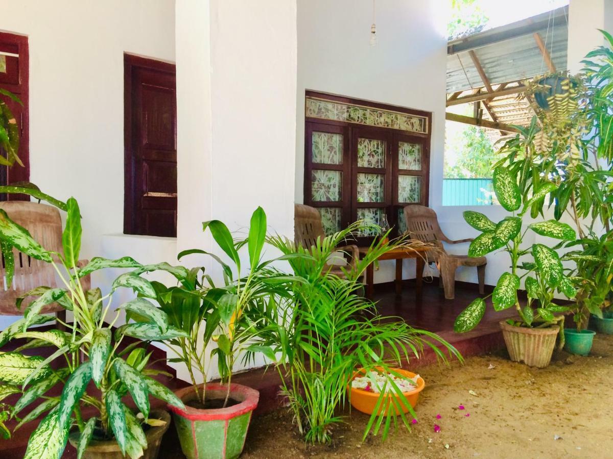 Tropicana Home Stay 아루감 베이 외부 사진