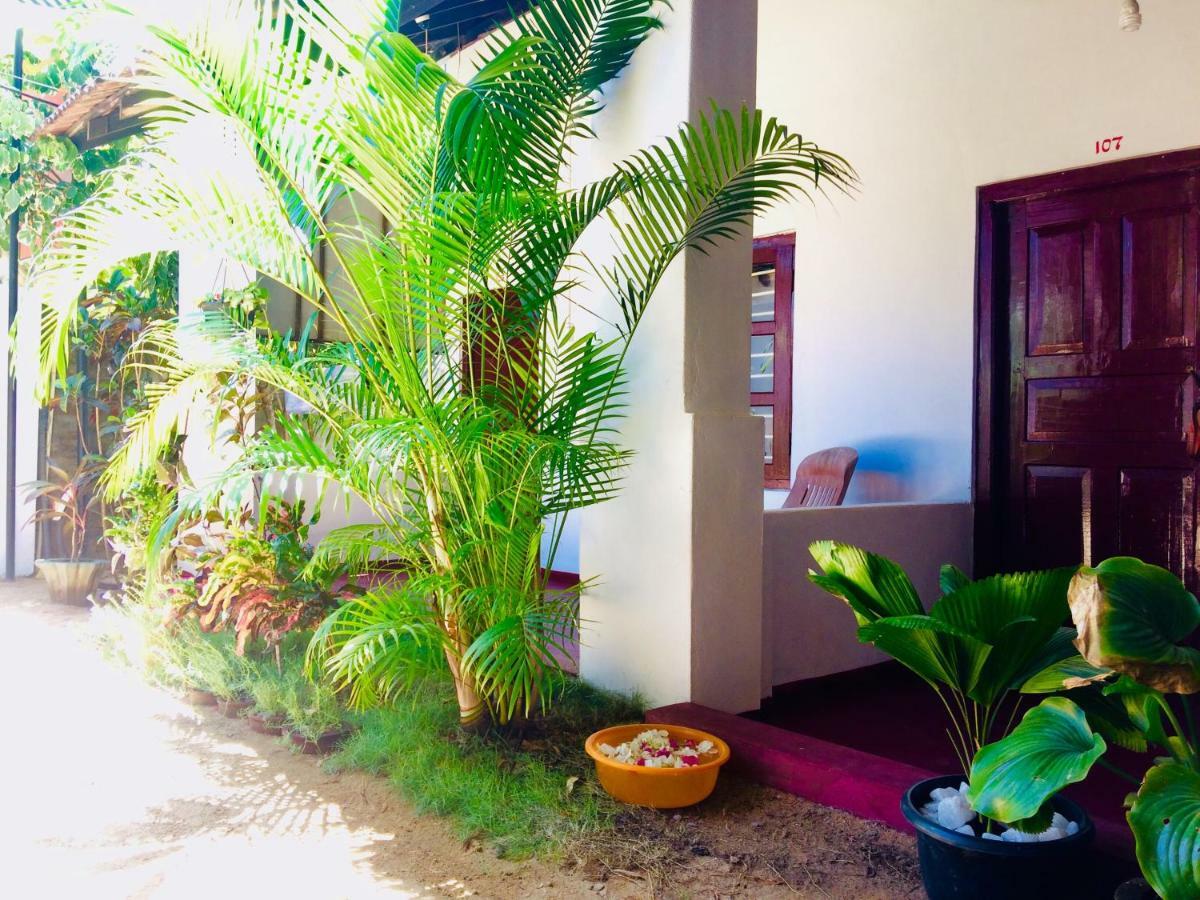 Tropicana Home Stay 아루감 베이 외부 사진