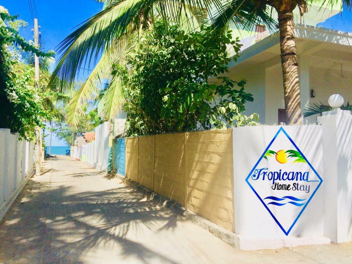 Tropicana Home Stay 아루감 베이 외부 사진